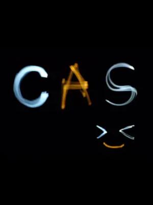 海岸線不污正業sp(全集)