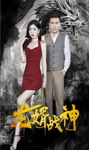 龍婿戰神(全集)