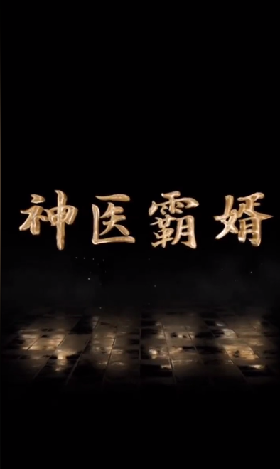 神醫霸婿(全集)
