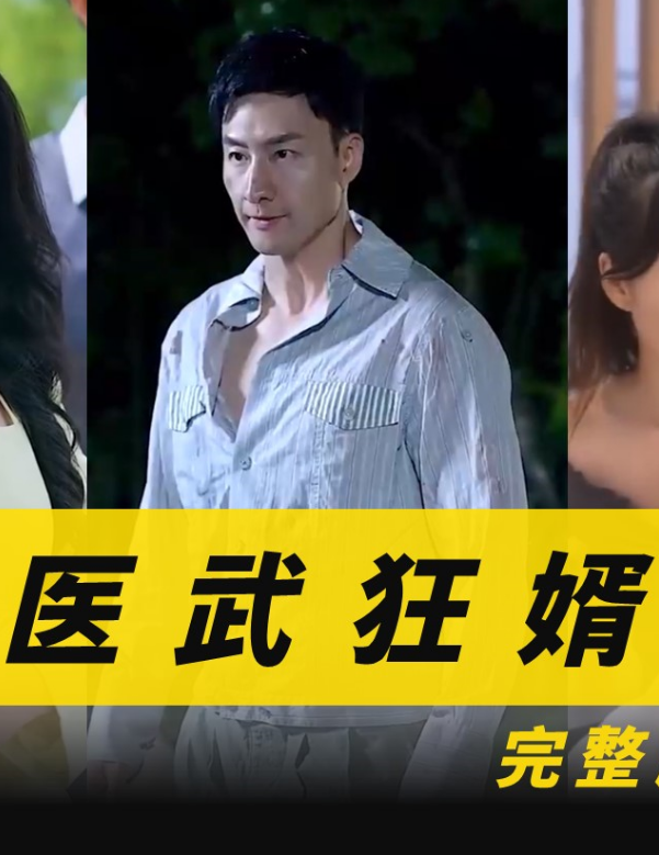 醫武狂婿(全集)