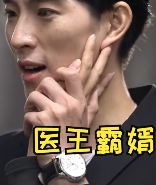 醫王霸婿(全集)