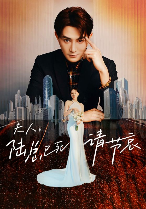 夫人，陸總已死請節哀(全集)