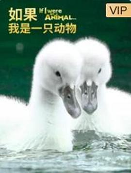 如果我是一只動物(全集)