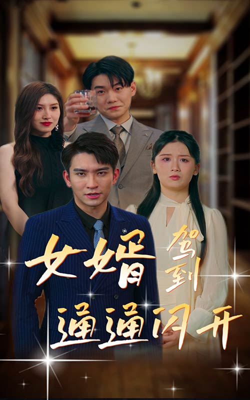 女婿駕到，通通閃開(全集)