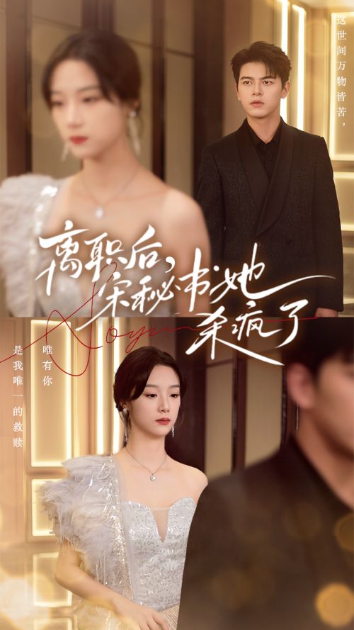 離職后，宋秘書她殺瘋了(全集)