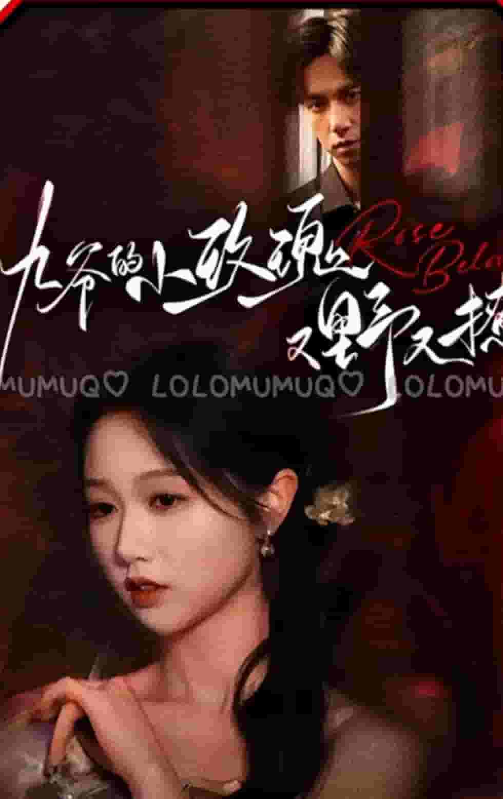 九爺的小玫瑰又野又撩第64集