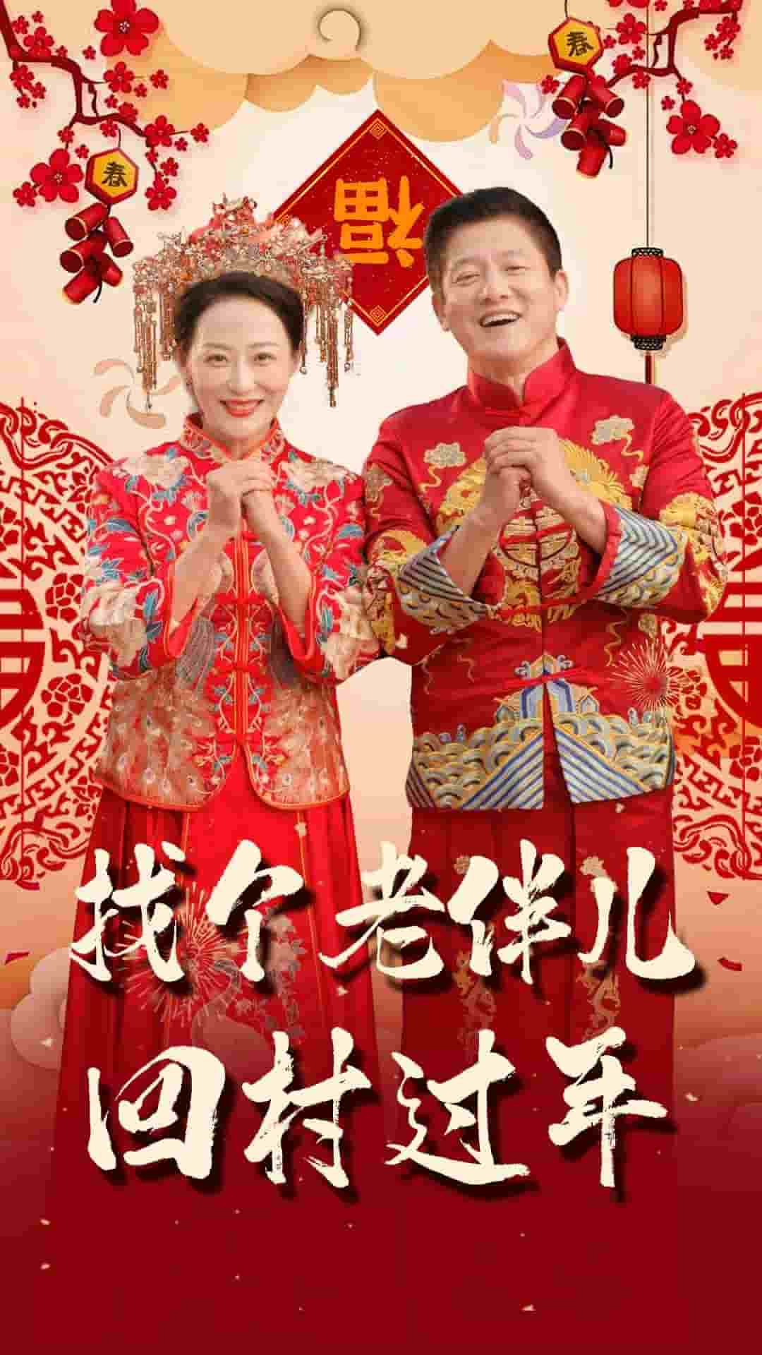 找個老伴兒回村過年(全集)