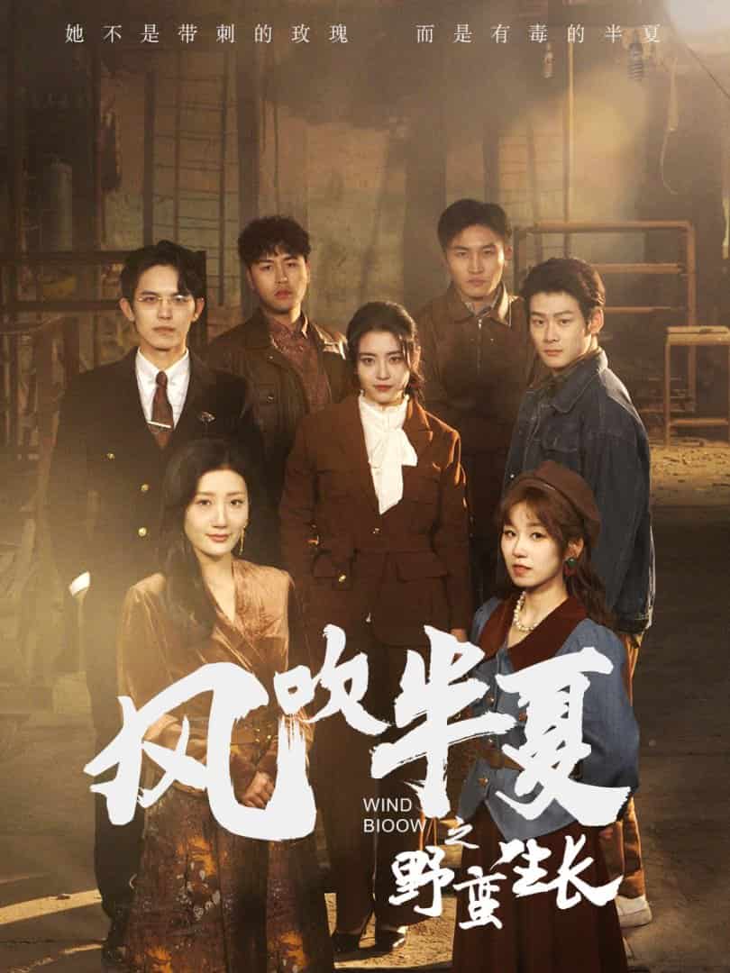風吹半夏之野蠻生長(全集)