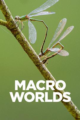 宏觀世界2017(全集)