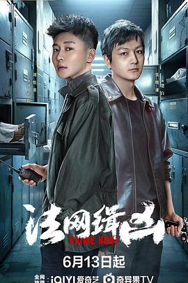 法網緝兇(全集)