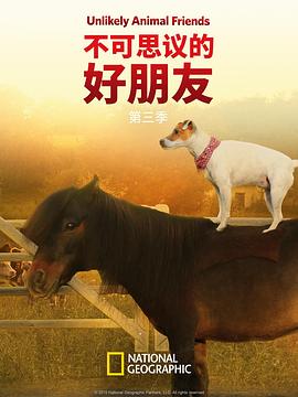 不可思議的好朋友第三季(全集)