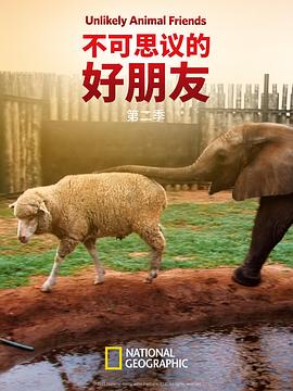 不可思議的好朋友第二季(全集)