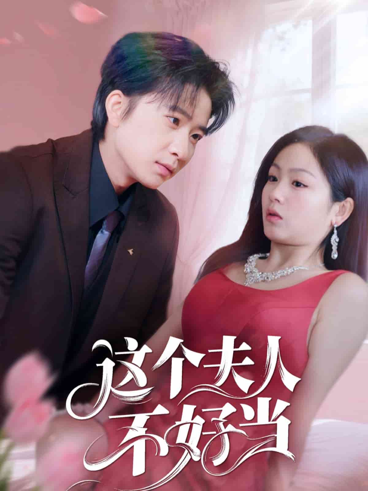 這個夫人不好當(全集)