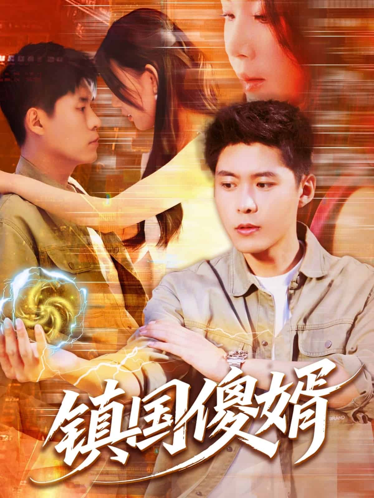 鎮國傻婿(全集)