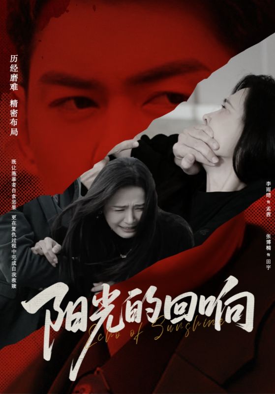 陽光的回響(全集)