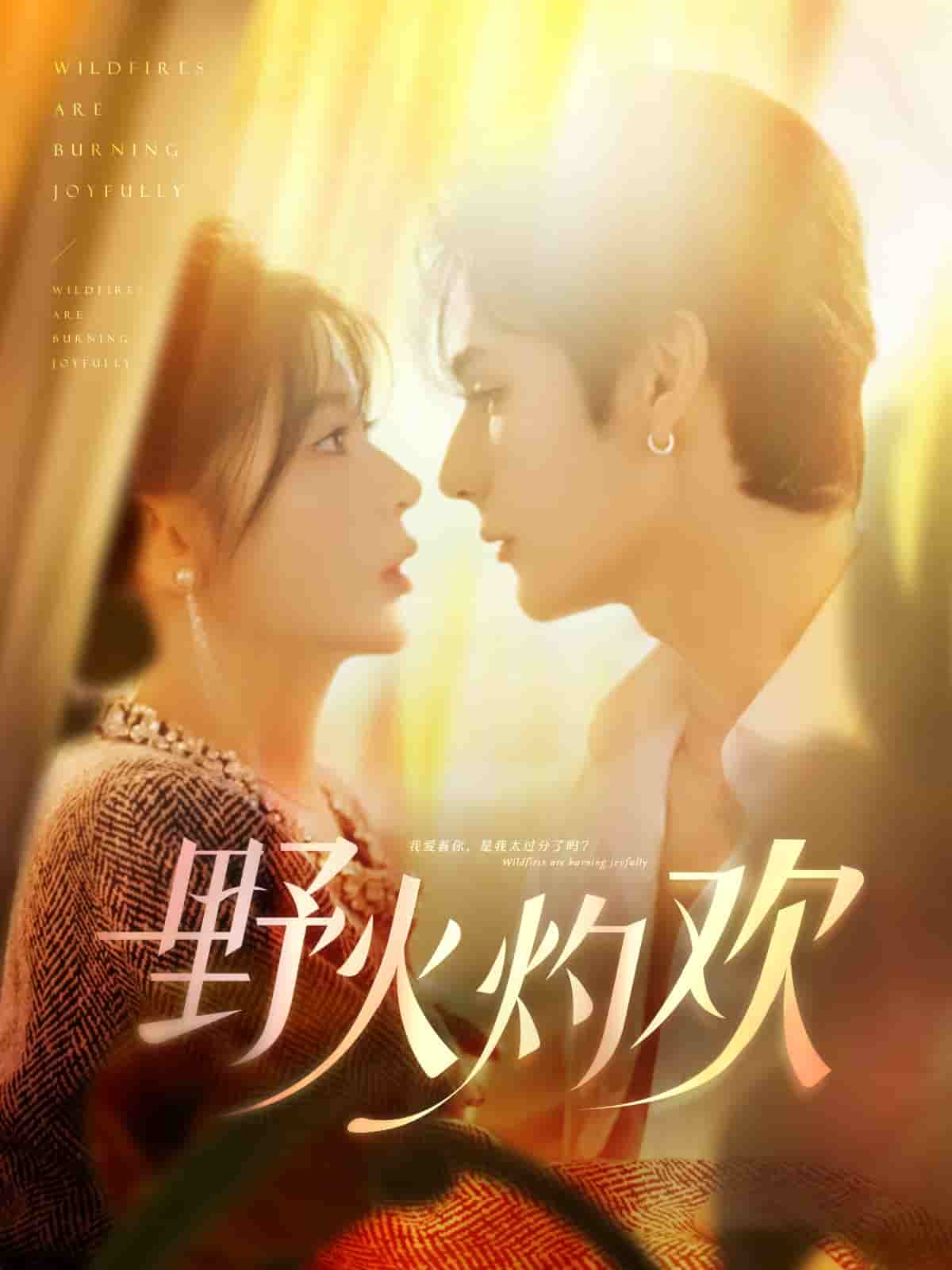 野火灼歡第50集