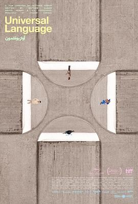 共同的語言(全集)