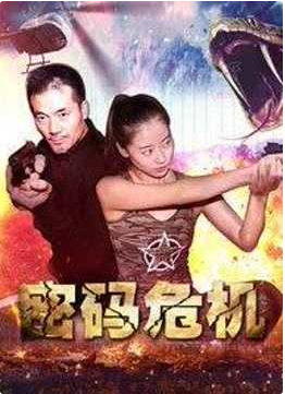 密碼危機(jī)(全集)