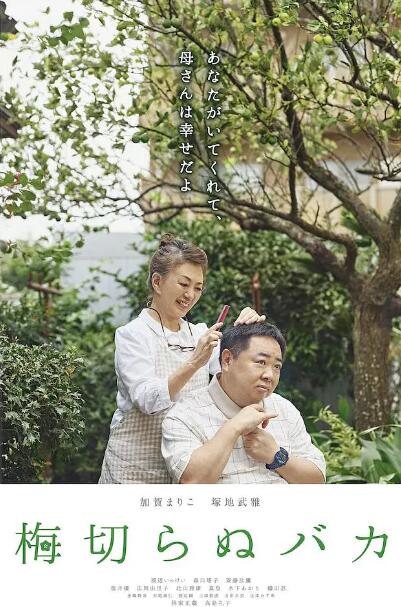 不砍梅樹(shù)的傻瓜(全集)